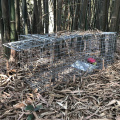Gorąca wyprzedaż na żywo kota cage cage pułapki klatki